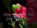 Why People Aren’t the Problem (It’s How You See Them)