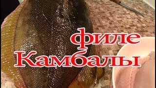 Как приготовить камбалу Как приготовить камбалу