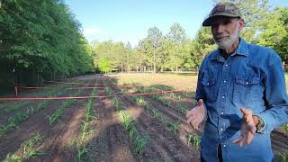 After the STORM Update by Deep South Homestead 17,114 views 1 month ago 13 minutes, 33 seconds