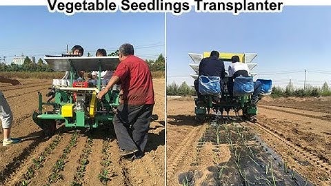 Amazing vegetable transplanter / transplanting machine / flower transplanter machine from factory