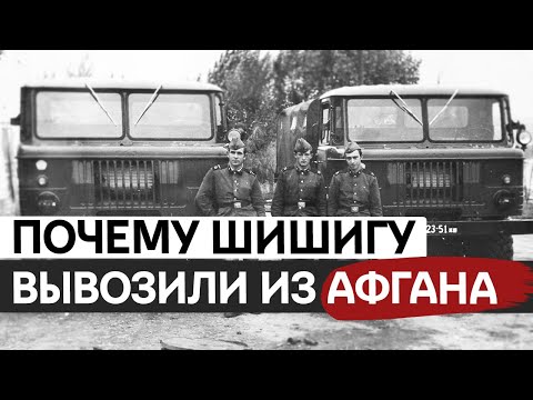 Видео: “Шишига”: история и факты о легендарном советском грузовике ГАЗ-66