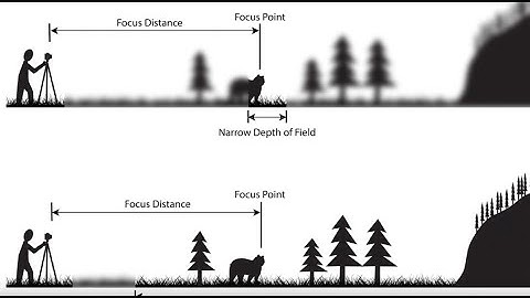 Depth of Field: An Easy Overview (2025)