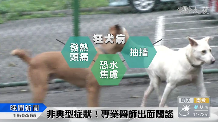 男童染"狂犬病"脱序学狗叫？医师证实网路谣言 - 天天要闻