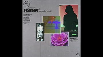 TY - Flora [R&B/SOUL SAMPLE PACK]