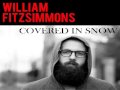 William fitzsimmons  covered in snow