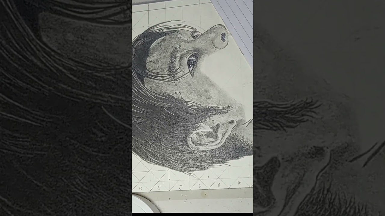 #portrait drawing 🇱🇰🤗like එකක් ලස්සනයි නම් ඕනී 💙#video #art #pencilart #music #viralvideo