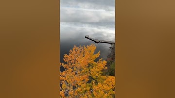 DJI FPV soaring over trees and a beautiful lake 🌊 #fpv #droneflying #dronephotography #djiavata
