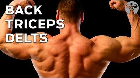 The 8/8/16 Workout (Day 3: Back, Triceps and Delts) Muscle Building Program