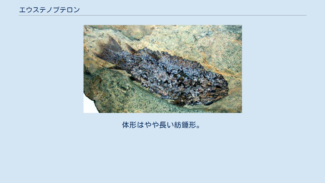 エウステノプテロン