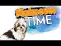 It's Makeover Time |Happy| Booster Puppy New Cute Look| My Pet Dog| Hairstyle | vlog | Sushma Kiron