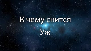 К чему снится Уж (Сонник, Толкование снов) К чему снится Уж (Сонник, Толкование снов)