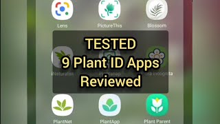 TESTED! 9 PLANT ID APPS REVIEWED! How accurate are they? screenshot 4