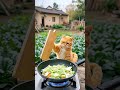 Master Cat #AI #cat #masterchef #catvideos #shorts #fun