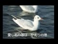かえりの港(藤島桓夫)Cover Song by leonchanda