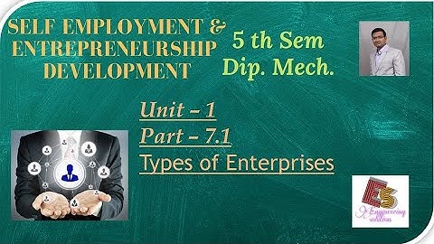 SEED Unit-1 Part-7.1 Types of Enterprises By P. N. Chhaniyara