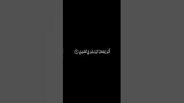 سورة الفيل شاشة سوداء للشيخ أنس الميمان ❤️❤️