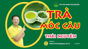 Trà Móc Câu Thái Nguyên - Giá chỉ từ 250k cực ngon, ngọt hậu