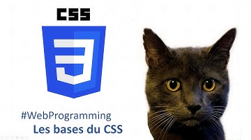 Toutes les bases du CSS en 20 min | Programmation web 3