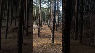 у сугамакской пещеры. авария 😂. тормоза отказали, ручник дернуть пришлось 😂