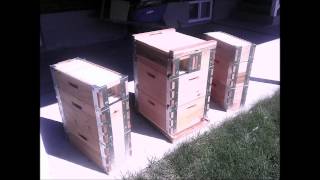 Video of an Eco Bee Box Utah Hive with bees in my bedroom!