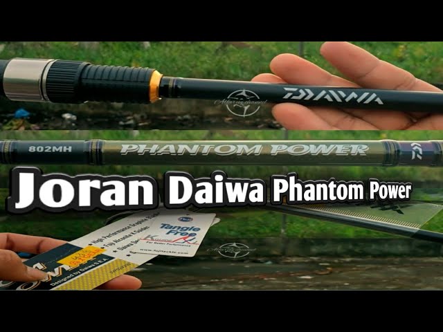 Casting Daiwa Phantom catfish fishing rod. #carpfishing #floatfishing 