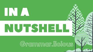 Идиомы: IN A NUTSHELL | Grammar.licious