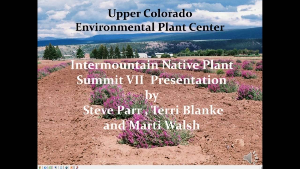 Options for native plant material development
