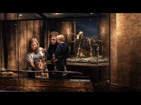Video: Troede Neandertalerne På Et Efterliv? - Alternativ Visning