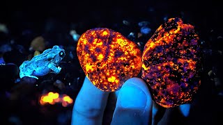 Incredible GLOWING Yooperlite Rocks, BLUE Crystals, Garnets and MORE Found in Michigan