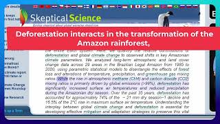 Amazon Rainforest Deforestation, Warming, Less Rain