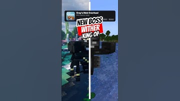 BIG Boss Wither #Miencraft | Evolution Cam