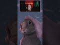 Forgive Me Little One