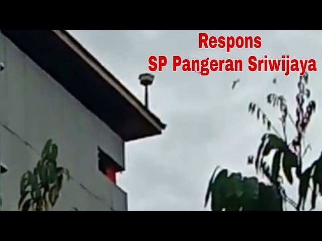 Respons SP Pangeran Sriwijaya (kiriman video dari binaan) class=