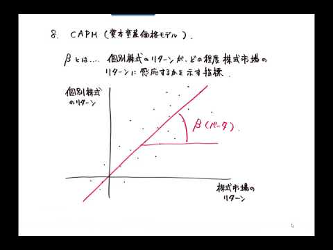 08 CAPM