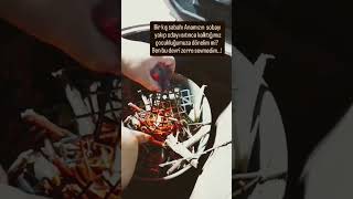 Bir Kış Sabahı.. 💔 Resimi