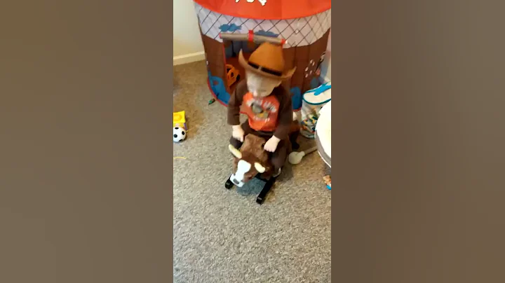 Bronco Billy