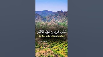 تلاوة تفوق الوصف بصوت يريح الأعصاب #elmulquranعلم #قران_كريم #تلاوة #راحة_نفسية #trend #duet