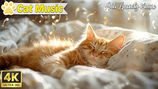 Music for Cats  Good Sleep Music and Stress Relief Music for cats, Music that cats like