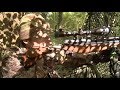 The Airgun Show – summer squirrel hunting, PLUS the Gamo Maxxim Elite Multishot on test…
