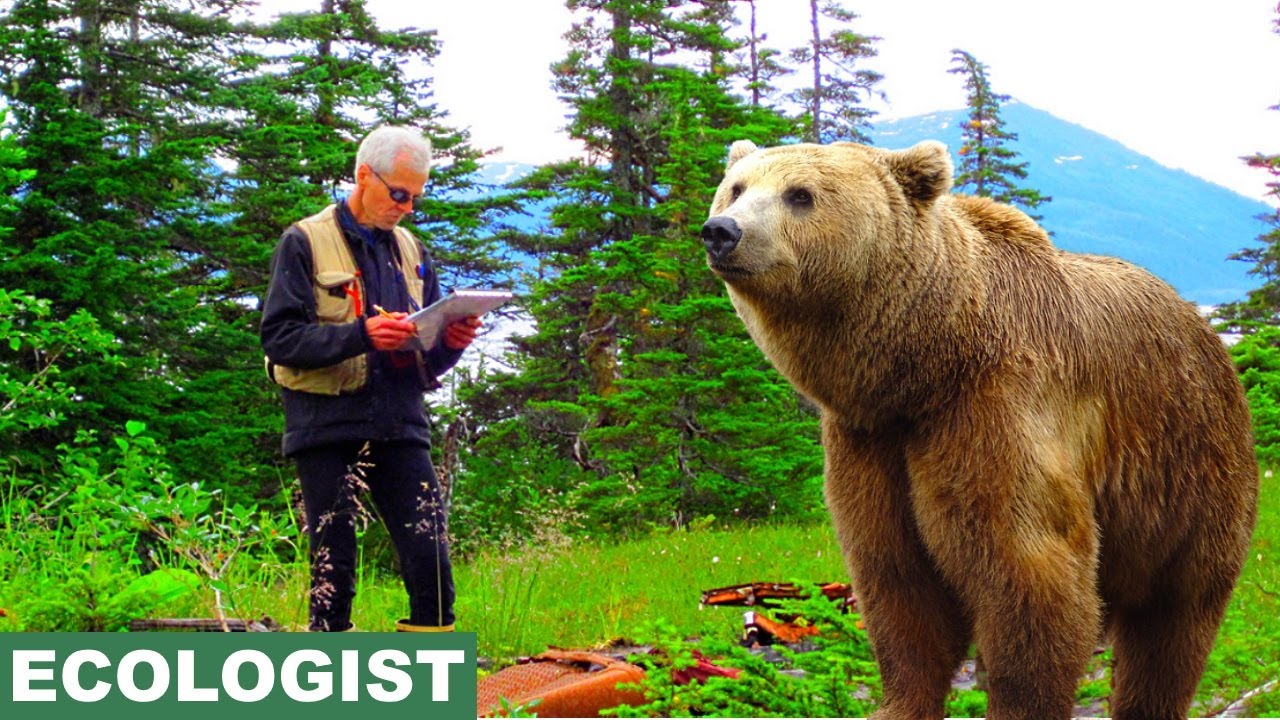 Learn English Words ECOLOGIST Meaning Vocabulary Lesson With learn-english-words-ecologist-meaning-vocabulary-lesson-with