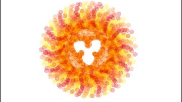 Phyllotaxis Spiral - Sun/Shell