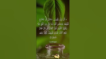 أَلَمْ يَأْنِ لِلَّذِينَ ءَامَنُوٓاْ أَن تَخْشَعَ قُلُوبُهُمْ لِذِكْرِ ٱللَّهِ...... الآية