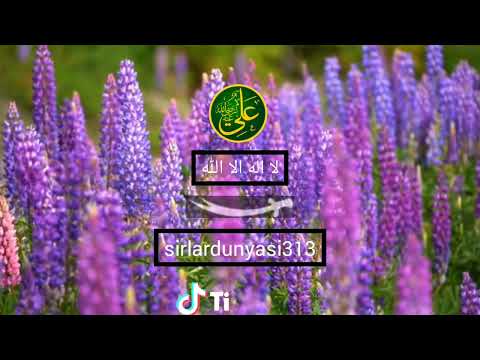 Ramazan Hoca🍂 Whatsapp Durum Video (tiktok) Anlamlı Dini Sözler - Kısa videolar