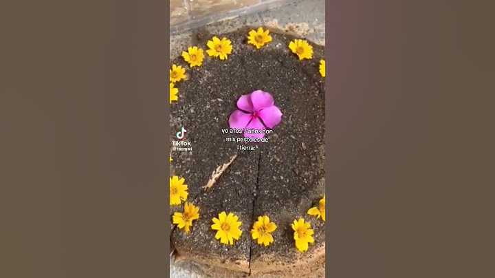 Yo a los 7 años haciendo pasteles de tierra #parati #tiktok #funny #lodo #pastel