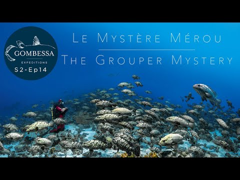 Gombessa II - Mystère Mérou - Ep14