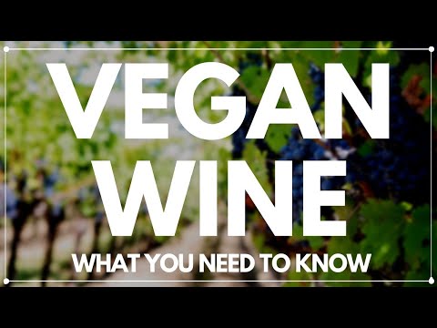 Video: Är allt vin lämpligt för veganer?