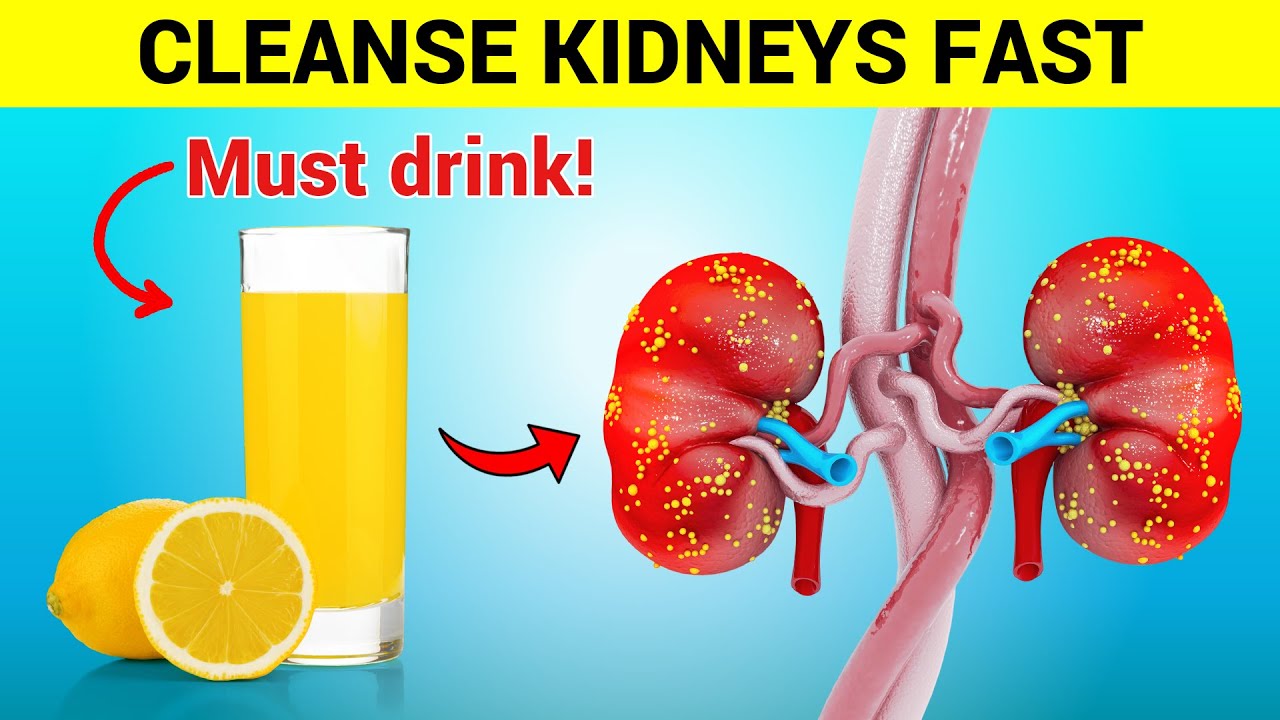 10 Best Natural Drinks to Cleanse and Detox Your Kidneys Fast