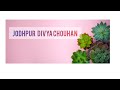 Jodhpur divya chouhan is livesunlight plant view plantwinter plantgood morning everyone 
