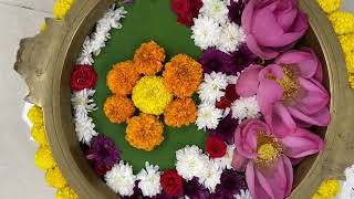 Iiynms Naturopathy Day