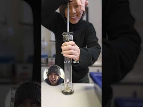 Fire Syringe Demonstration: